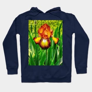 Irises - Spreckles Iris Hoodie